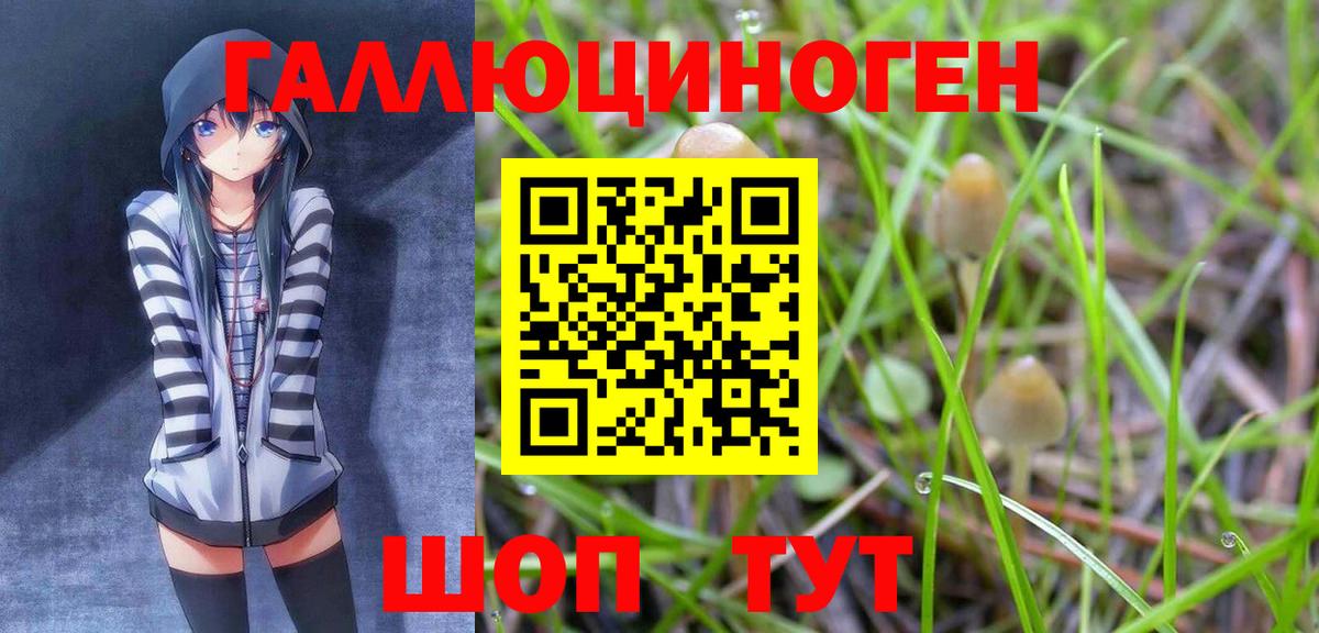 Галлюциногенные грибы прущие грибы Калининград