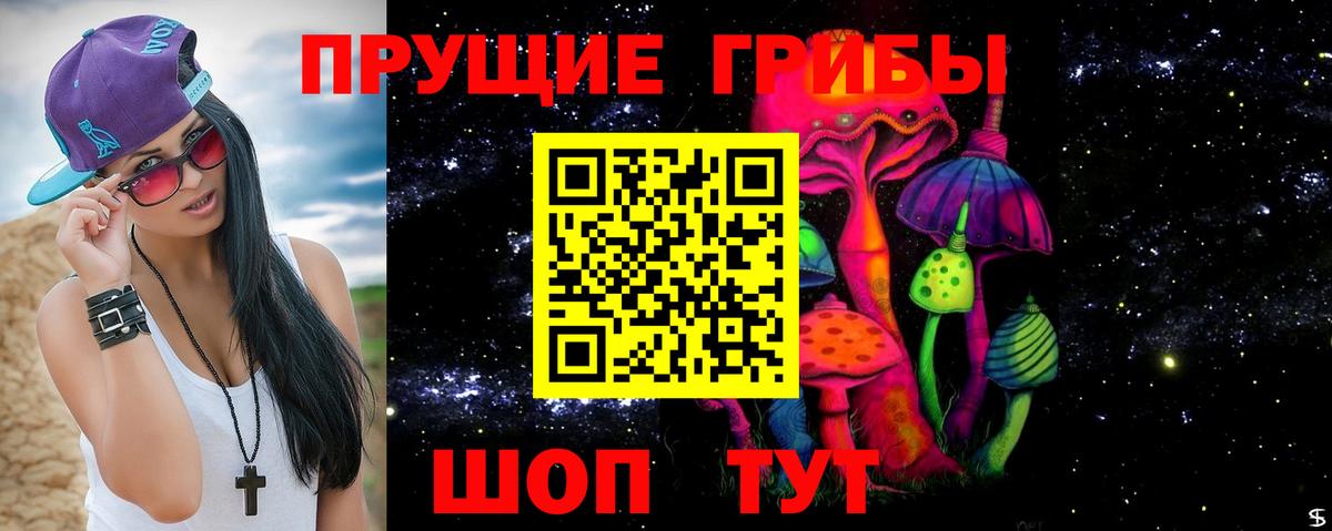 Калининград  Псилоцибиновые грибы GOLDEN TEACHER  Вход с VPN  Галлюциногенные грибы мицелий 