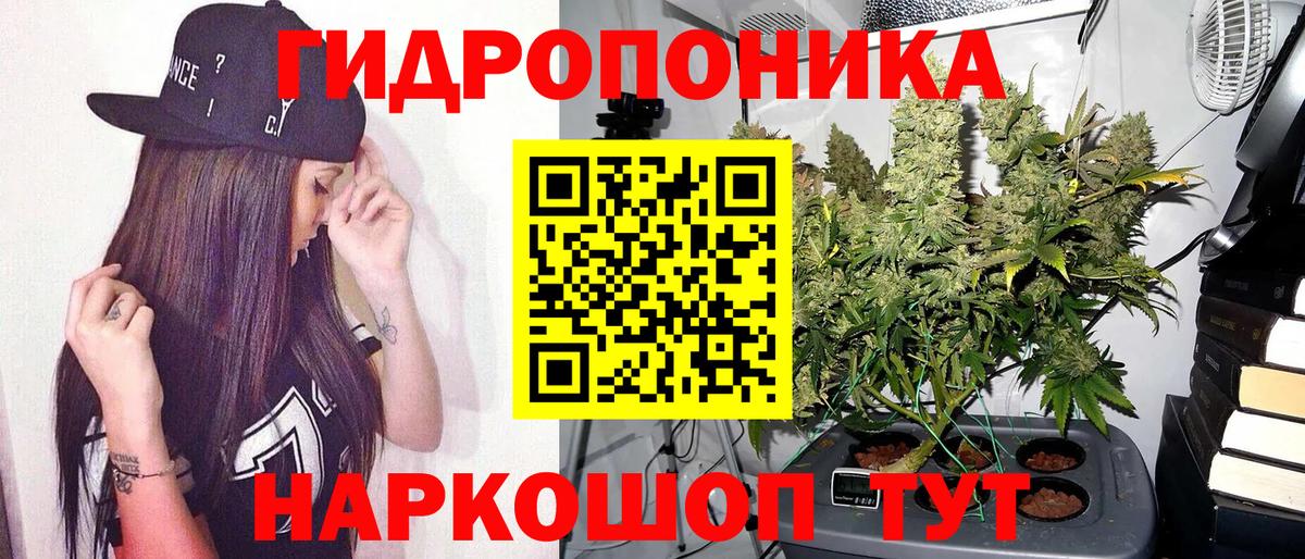 Бошки марихуана White Widow Калининград